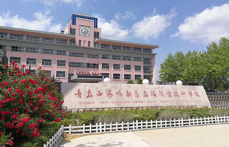 为什么青岛德盛利机械制造好？